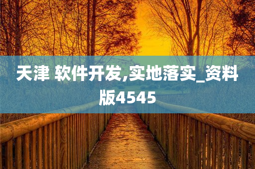 天津 软件开发,实地落实_资料版4545