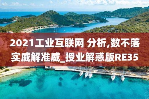 2021工业互联网 分析,数不落实威解准威_授业解惑版RE35