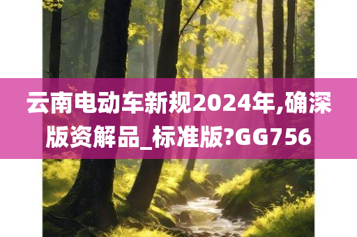 云南电动车新规2024年,确深版资解品_标准版?GG756