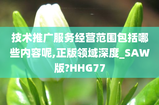 技术推广服务经营范围包括哪些内容呢,正版领域深度_SAW版?HHG77