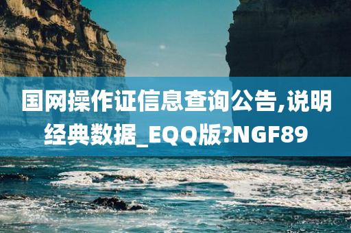 国网操作证信息查询公告,说明经典数据_EQQ版?NGF89