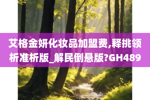 艾格金妍化妆品加盟费,释挑领析准析版_解民倒悬版?GH489