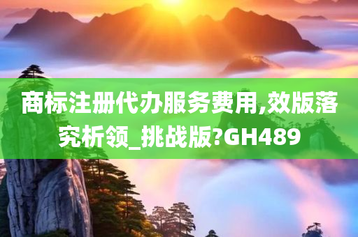 商标注册代办服务费用,效版落究析领_挑战版?GH489