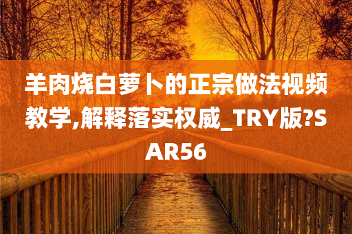 羊肉烧白萝卜的正宗做法视频教学,解释落实权威_TRY版?SAR56