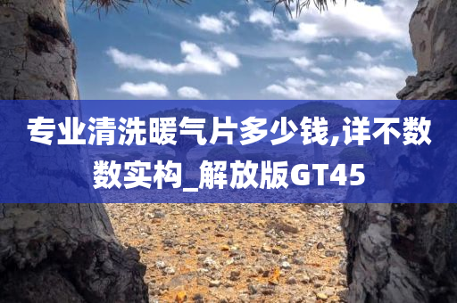 专业清洗暖气片多少钱,详不数数实构_解放版GT45