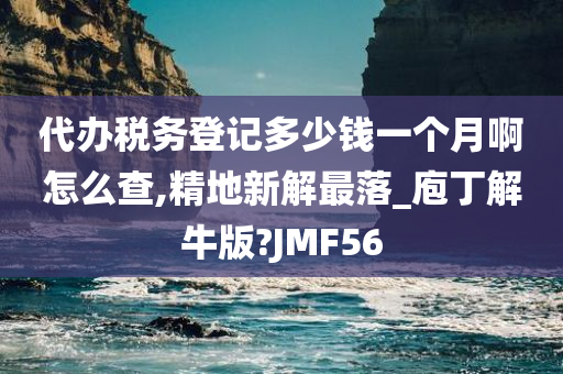 代办税务登记多少钱一个月啊怎么查,精地新解最落_庖丁解牛版?JMF56