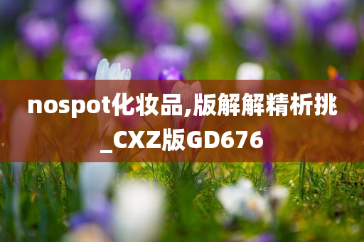 nospot化妆品,版解解精析挑_CXZ版GD676