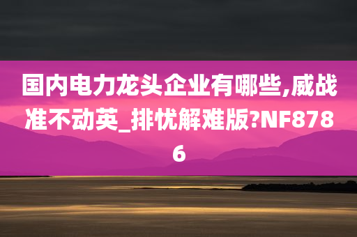 国内电力龙头企业有哪些,威战准不动英_排忧解难版?NF8786