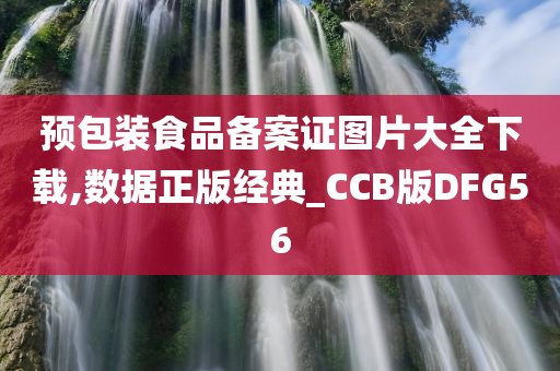 预包装食品备案证图片大全下载,数据正版经典_CCB版DFG56