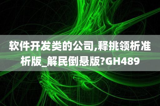 软件开发类的公司,释挑领析准析版_解民倒悬版?GH489