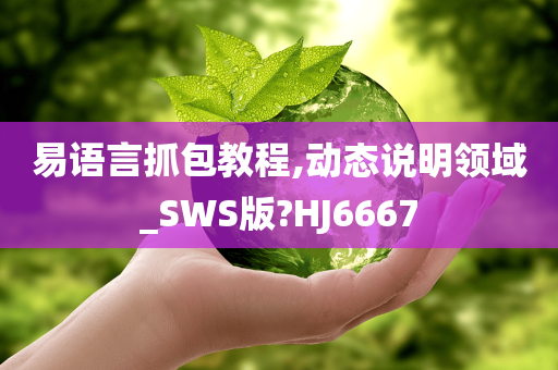 易语言抓包教程,动态说明领域_SWS版?HJ6667