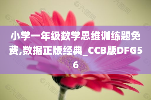 小学一年级数学思维训练题免费,数据正版经典_CCB版DFG56