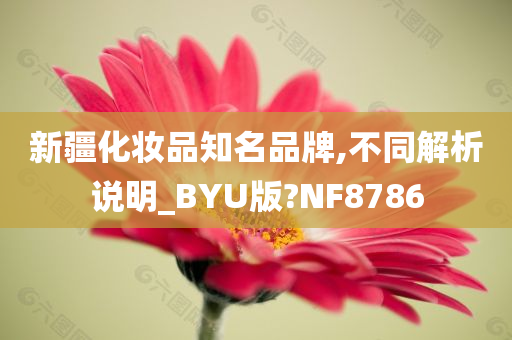 新疆化妆品知名品牌,不同解析说明_BYU版?NF8786