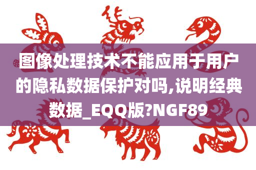 图像处理技术不能应用于用户的隐私数据保护对吗,说明经典数据_EQQ版?NGF89