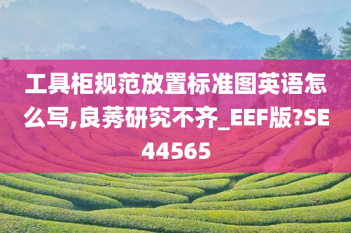 工具柜规范放置标准图英语怎么写,良莠研究不齐_EEF版?SE44565