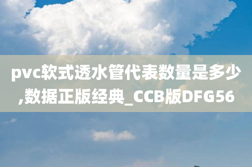 pvc软式透水管代表数量是多少,数据正版经典_CCB版DFG56