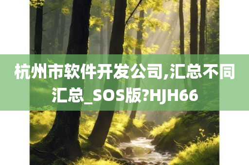 杭州市软件开发公司,汇总不同汇总_SOS版?HJH66