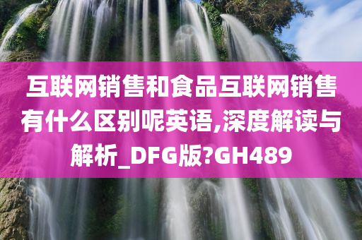 互联网销售和食品互联网销售有什么区别呢英语,深度解读与解析_DFG版?GH489