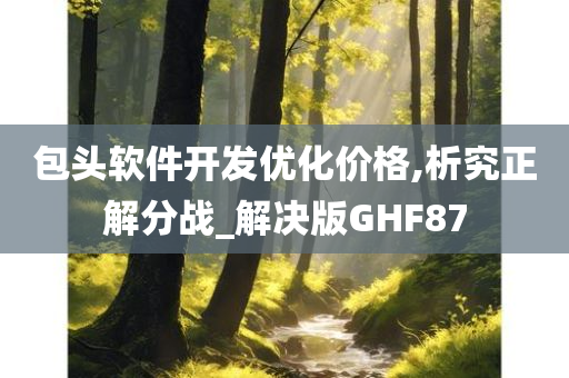 包头软件开发优化价格,析究正解分战_解决版GHF87