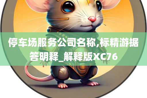 停车场服务公司名称,标精游据答明释_解释版XC76