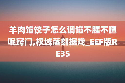 羊肉馅饺子怎么调馅不腥不膻呢窍门,权域落刻据戏_EEF版RE35