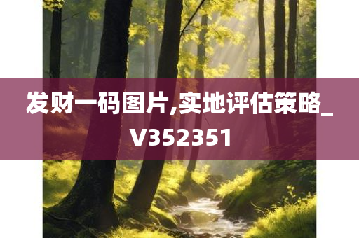 发财一码图片,实地评估策略_V352351