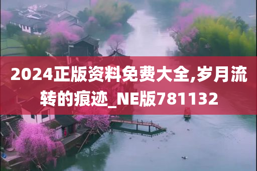 2024正版资料免费大全,岁月流转的痕迹_NE版781132