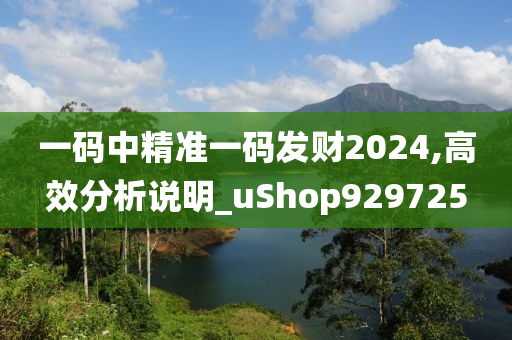 一码中精准一码发财2024,高效分析说明_uShop929725