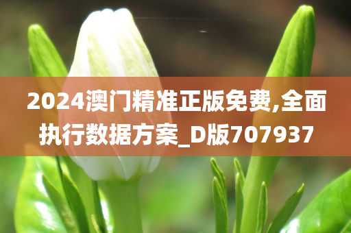 2024澳门精准正版免费,全面执行数据方案_D版707937