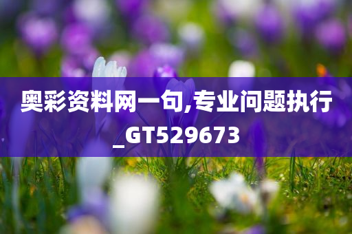 奥彩资料网一句,专业问题执行_GT529673