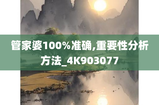 管家婆100%准确,重要性分析方法_4K903077