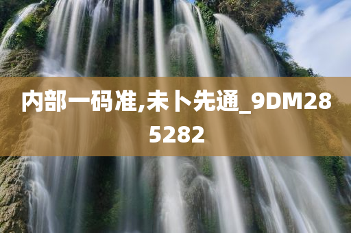 内部一码准,未卜先通_9DM285282