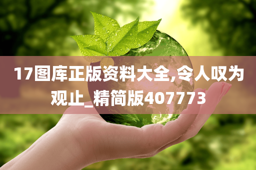 17图库正版资料大全,令人叹为观止_精简版407773