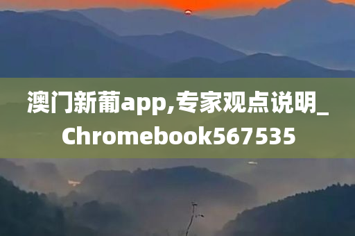 澳门新葡app,专家观点说明_Chromebook567535