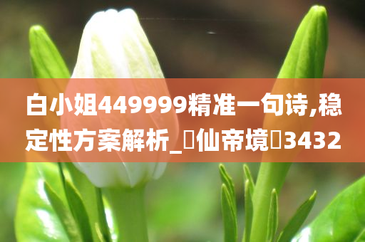 白小姐449999精准一句诗,稳定性方案解析_‌仙帝境‌3432