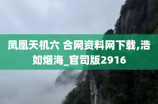 凤凰天机六 合网资料网下载,浩如烟海_官司版2916