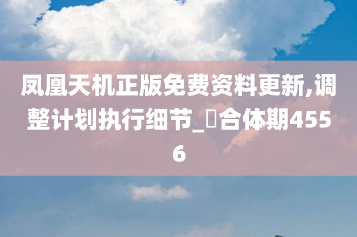 凤凰天机正版免费资料更新,调整计划执行细节_‌合体期4556