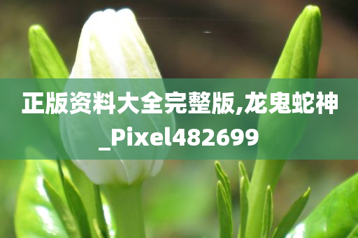 正版资料大全完整版,龙鬼蛇神_Pixel482699