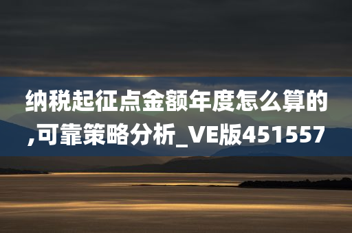 纳税起征点金额年度怎么算的,可靠策略分析_VE版451557