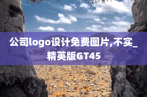 公司logo设计免费图片,不实_精英版GT45