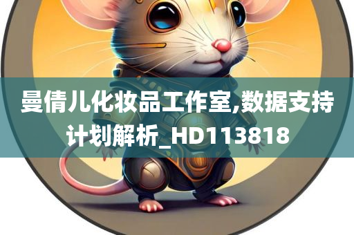 曼倩儿化妆品工作室,数据支持计划解析_HD113818