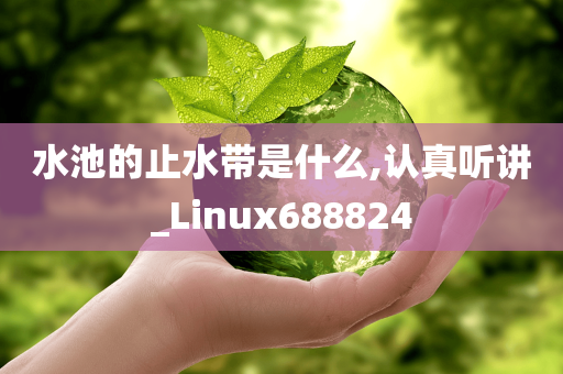 水池的止水带是什么,认真听讲_Linux688824