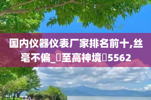 国内仪器仪表厂家排名前十,丝毫不偏_‌至高神境‌5562