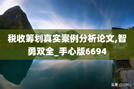 税收筹划真实案例分析论文,智勇双全_手心版6694