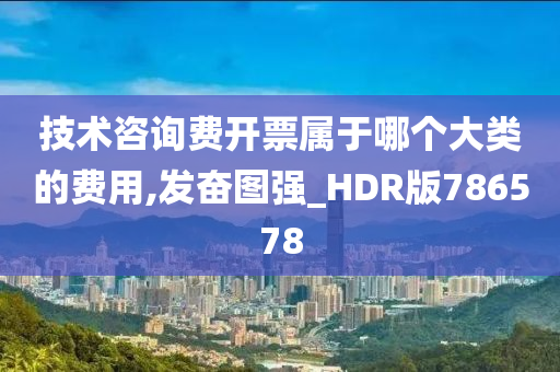 技术咨询费开票属于哪个大类的费用,发奋图强_HDR版786578