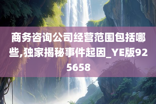 商务咨询公司经营范围包括哪些,独家揭秘事件起因_YE版925658