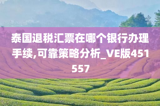 泰国退税汇票在哪个银行办理手续,可靠策略分析_VE版451557