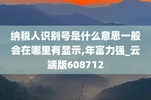 纳税人识别号是什么意思一般会在哪里有显示,年富力强_云端版608712