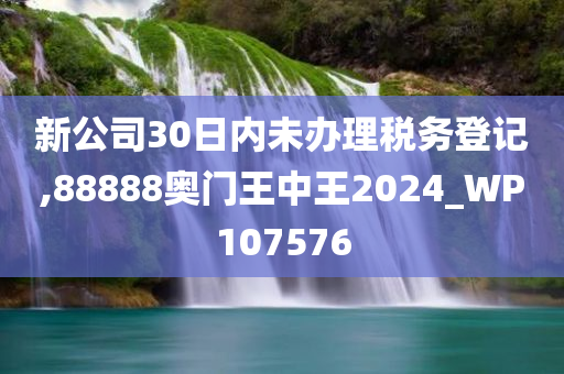 新公司30日内未办理税务登记,88888奥门王中王2024_WP107576