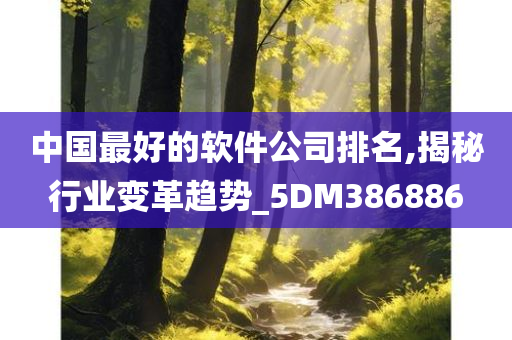 中国最好的软件公司排名,揭秘行业变革趋势_5DM386886